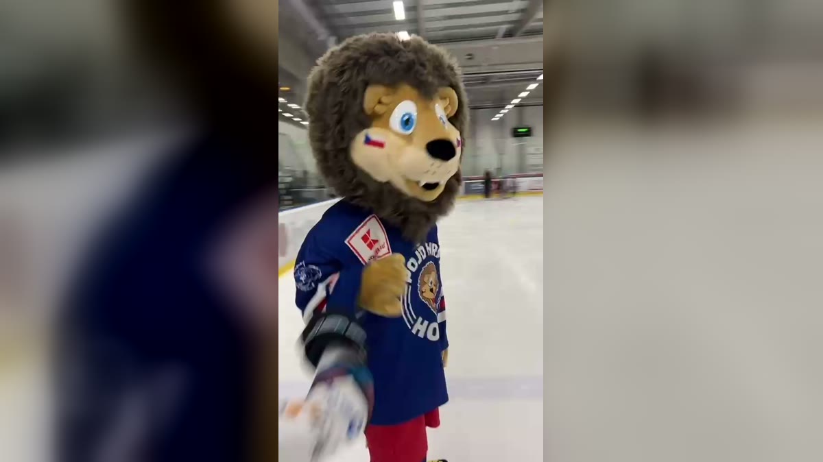 Maskot akce Pojď hrát hokej na ledě